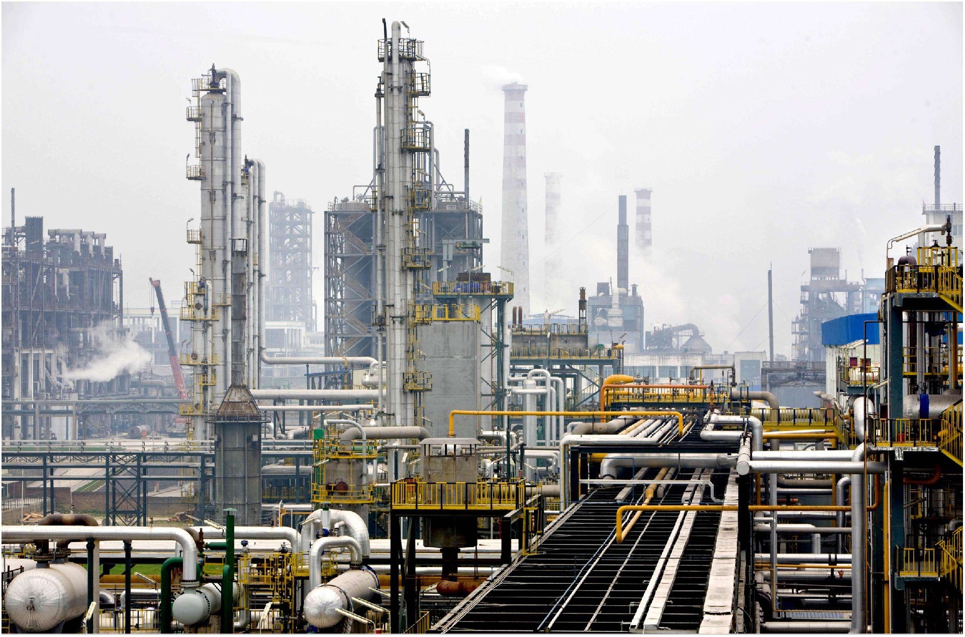 1642552406206101.jpg 1642552406206101.jpg